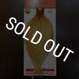 WHITING ROOSTER Cape&Saddle | ドリーバーデン