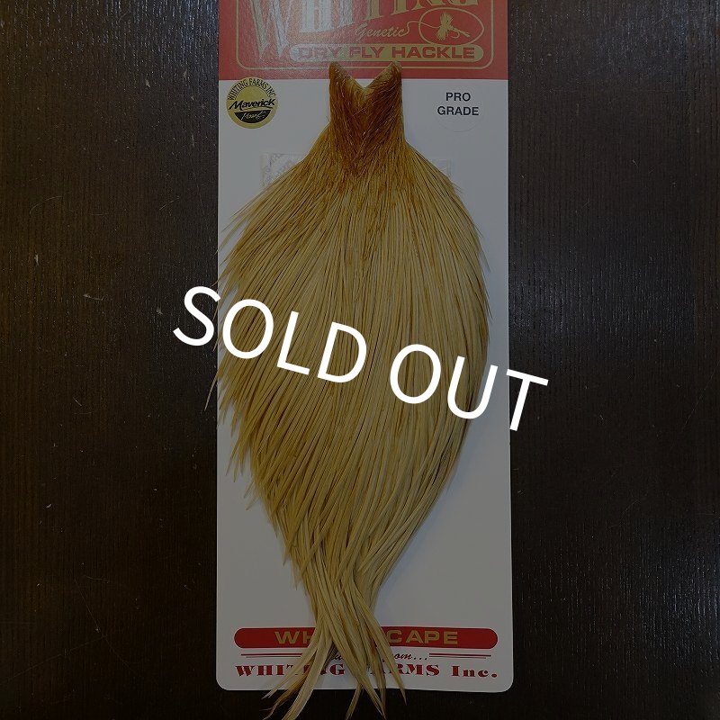 画像1: 【WHITING】ROOSTER Cape Pro Grade - Light Ginger No.2 (1)