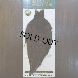 画像1: 【WHITING】Hebert Hen Cape DarkBrown Dun No.5