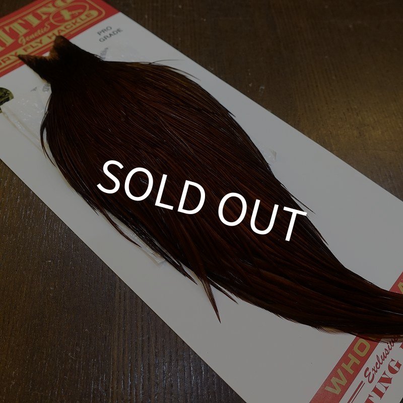 画像2: 【WHITING】ROOSTER Cape Pro Grade - DYED COACHMAN BROWN No.2 (2)