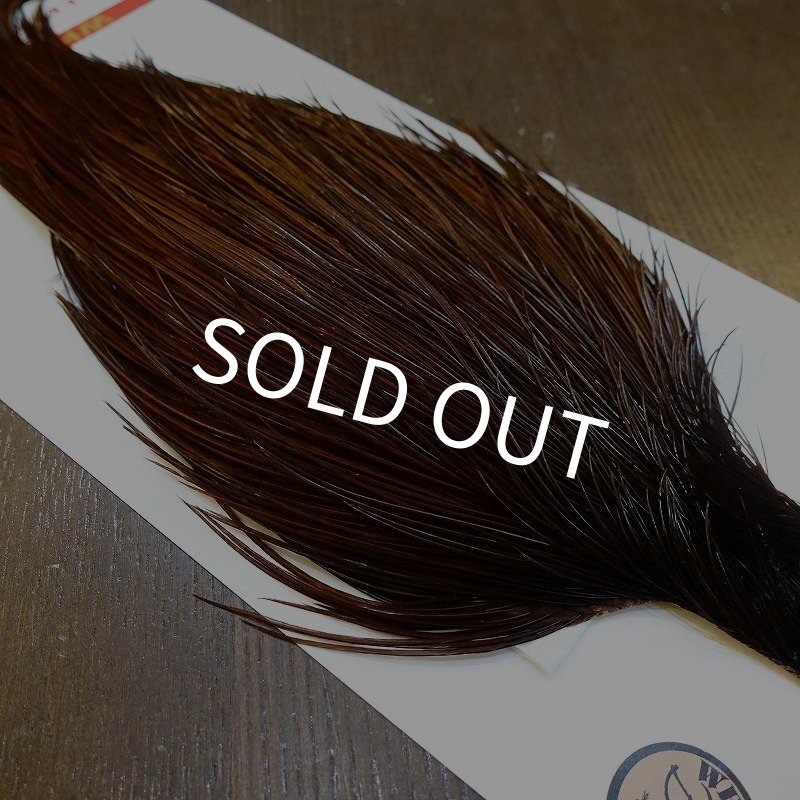 画像4: 【Whiting】ROOSTER CAPE Bronze Grade - DYED COACHMAN BROWN No.1 (4)