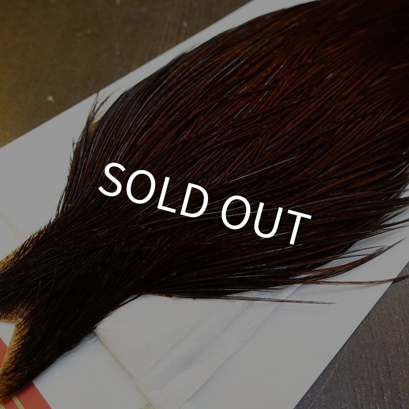 画像3: 【WHITING】ROOSTER Cape Pro Grade - DYED COACHMAN BROWN No.1 (3)