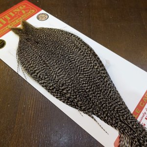 画像2: 【WHITING】ROOSTER CAPE Bronze Grade - Grizzly No.2