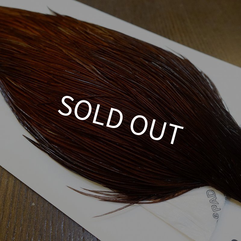 画像4: 【WHITING】ROOSTER Cape Pro Grade - DYED COACHMAN BROWN No.2 (4)