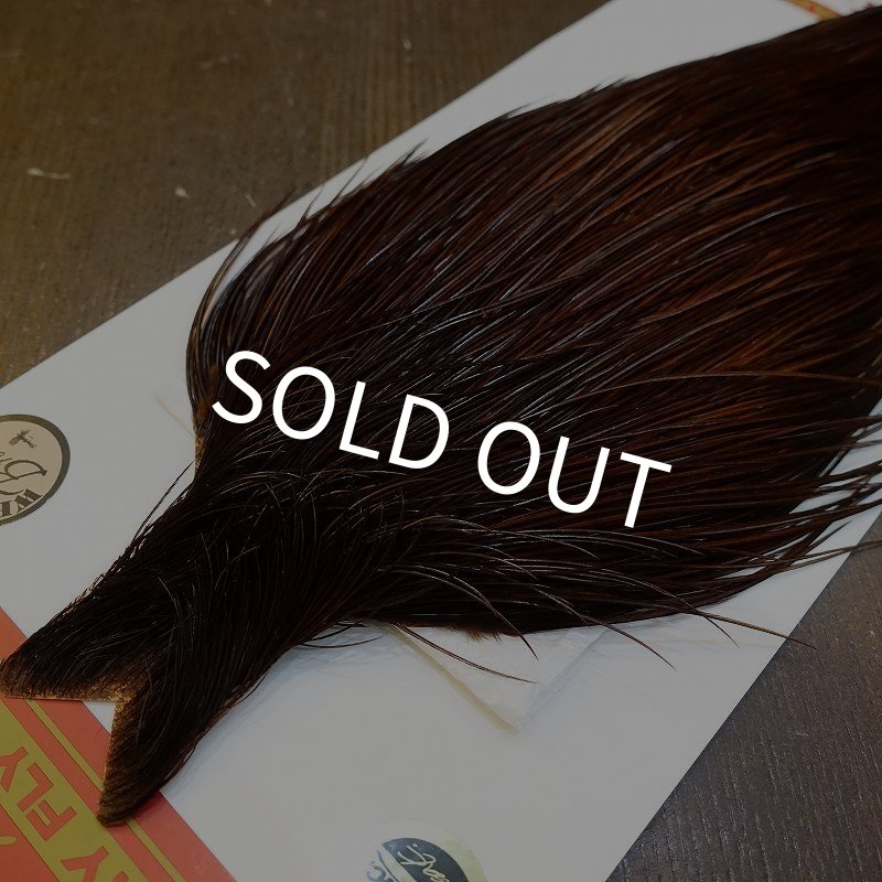 画像3: 【Whiting】ROOSTER CAPE Bronze Grade - DYED COACHMAN BROWN No.1 (3)