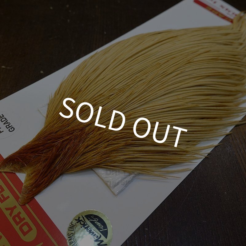 画像3: 【WHITING】ROOSTER Cape Pro Grade - Light Ginger No.2 (3)