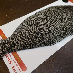 画像5: 【WHITING】ROOSTER CAPE Bronze Grade - Grizzly No.1