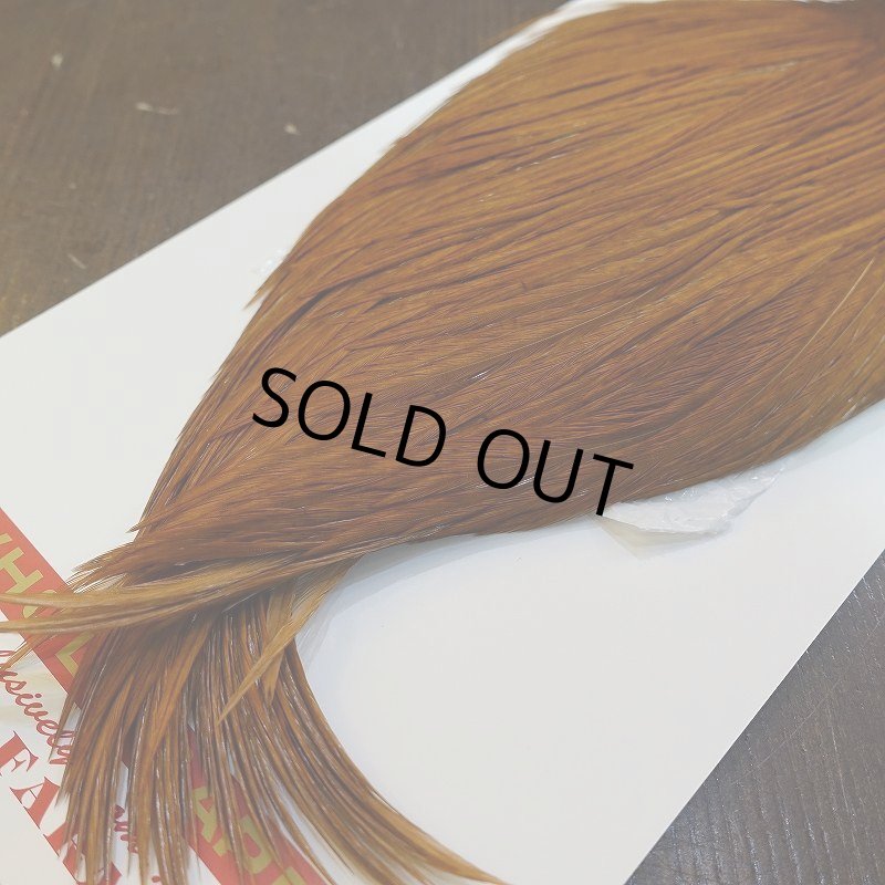 画像5: 【WHITING】ROOSTER Cape Pro Grade - DYED BROWN No.1 (5)