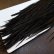 画像5: 【WHITING】Hebert ROOSTER SADDLE PRO Grade - Black  #12-14 No.2 (5)