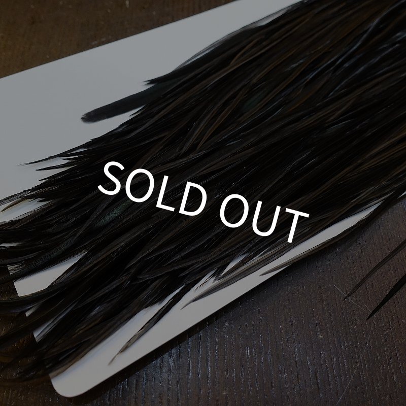 画像5: 【WHITING】Hebert ROOSTER SADDLE PRO Grade - Black  #12-14 No.2 (5)