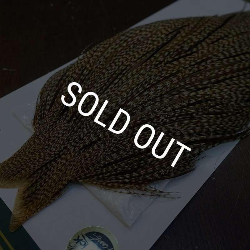 画像3: 【WHITING】Hebert ROOSTER CAPE PRO Grade - DUN GRIZZLY No.3 (3)