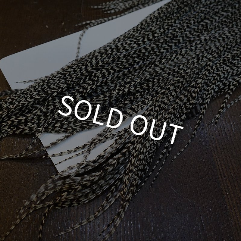 画像5: 【WHITING】Hebert Pro Grade Rooster Saddle - Grizzly #12 No.2 (5)