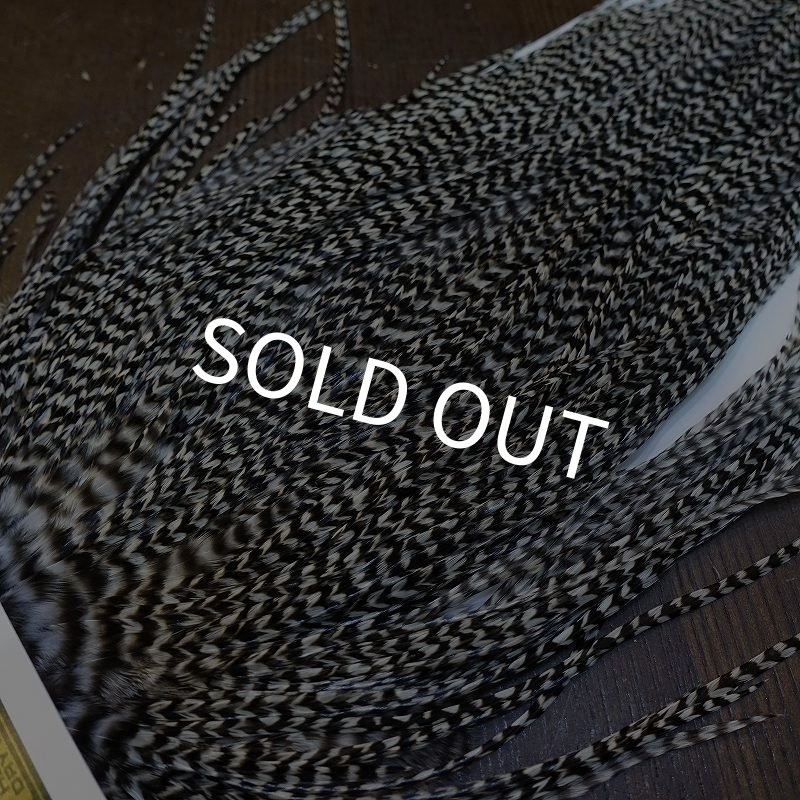 画像3: 【WHITING】Hebert Pro Grade Rooster Saddle - Grizzly #12 No.2 (3)