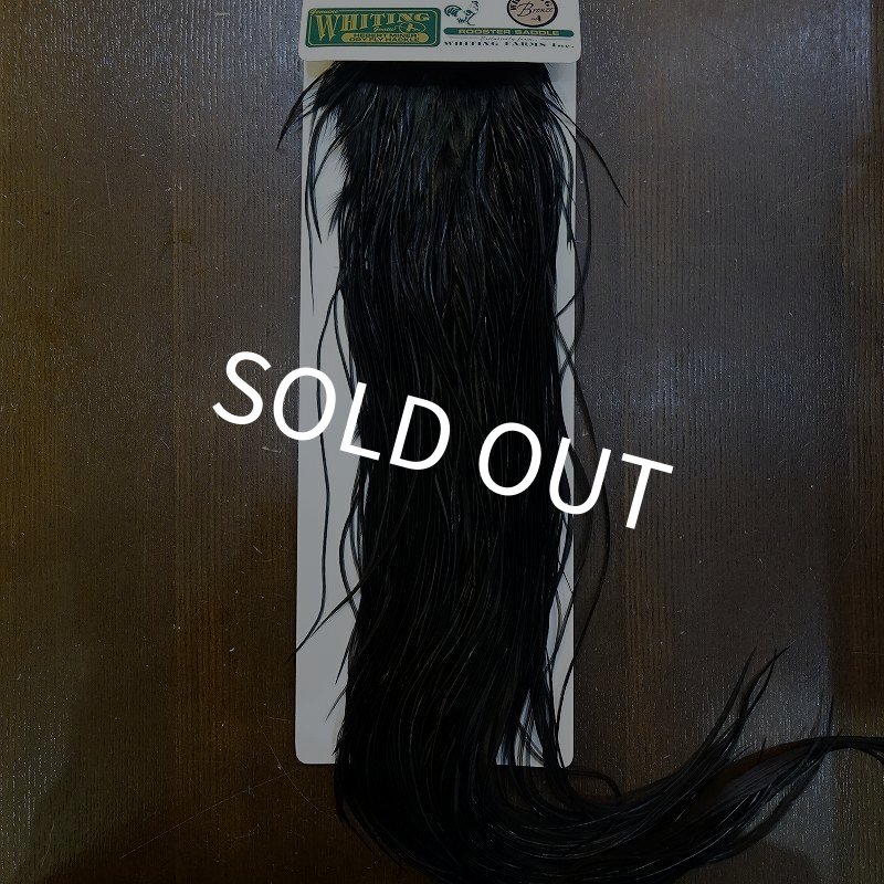 画像1: 【WHITING】Hebert Bronze Grade Saddle - Dyed Black No.2 #16 (1)