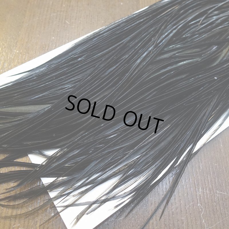 画像5: 【WHITING】Hebert Bronze Grade Saddle - Dyed Black No.1 #14 (5)