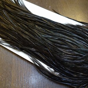 画像4: 【WHITING】Hebert Bronze Grade Saddle - Dyed Black No.4 #14 