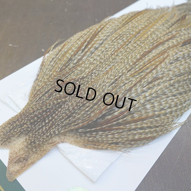 画像3: 【WHITING】Hebert ROOSTER CAPE PRO Grade - Unique variant No.1 (3)