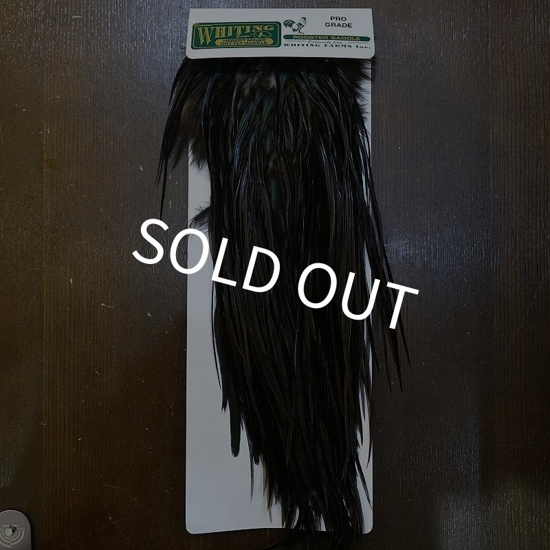 画像1: 【WHITING】Hebert ROOSTER SADDLE PRO Grade - Black  #12-14 No.2 (1)