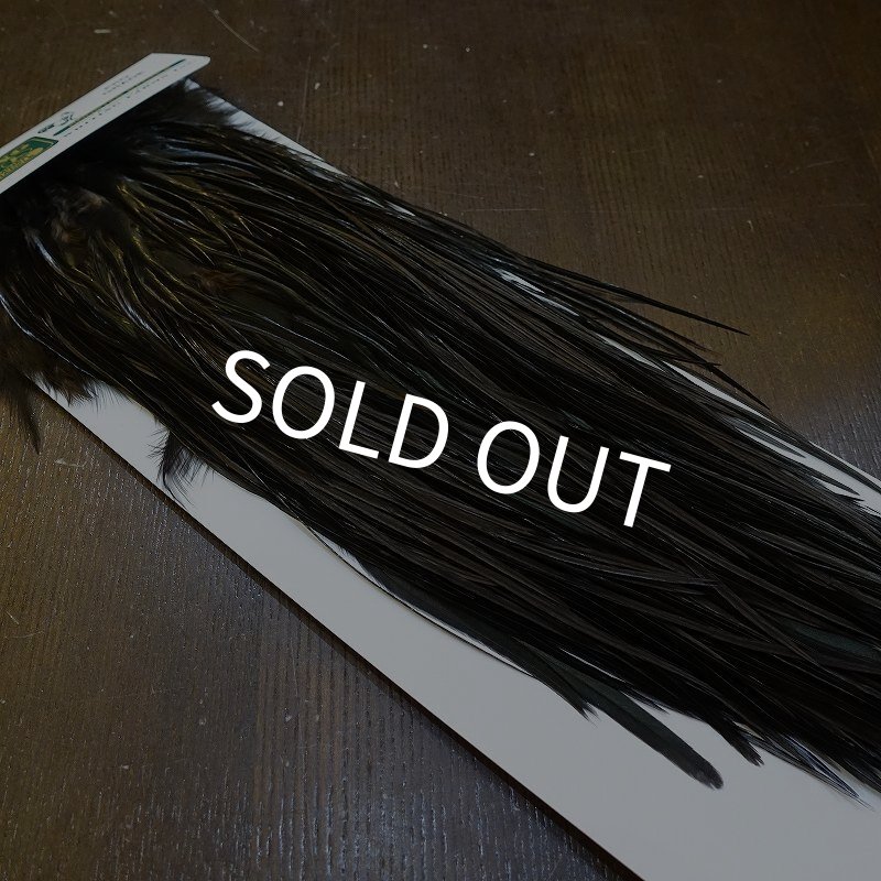 画像2: 【WHITING】Hebert ROOSTER SADDLE PRO Grade - Black  #12-14 No.2 (2)