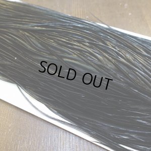 画像4: 【WHITING】Hebert Bronze Grade Saddle - Dyed Black No.1 #14