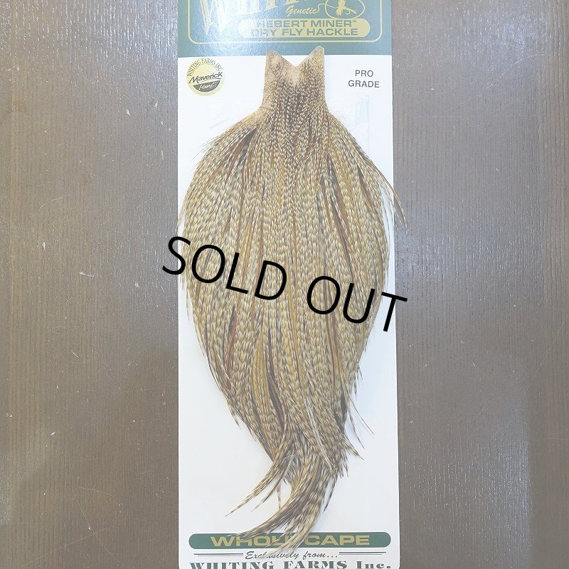 画像1: 【WHITING】Hebert ROOSTER CAPE PRO Grade - Unique variant No.1 (1)