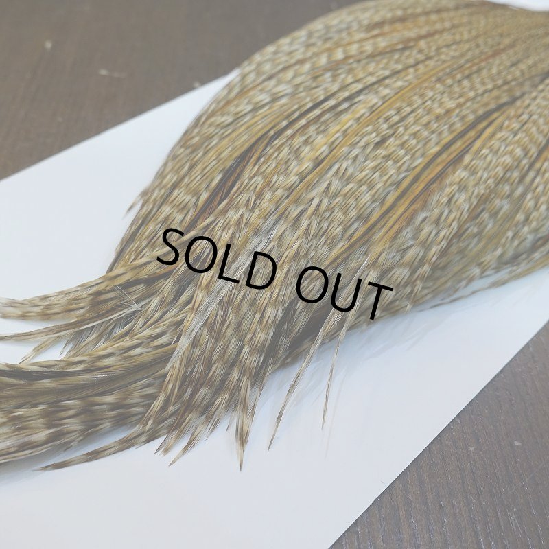 画像5: 【WHITING】Hebert ROOSTER CAPE PRO Grade - Unique variant No.1 (5)