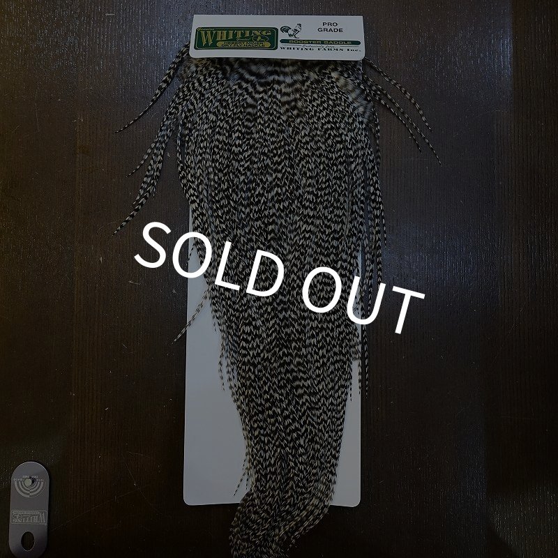 画像1: 【WHITING】Hebert Pro Grade Rooster Saddle - Grizzly #12 No.2 (1)