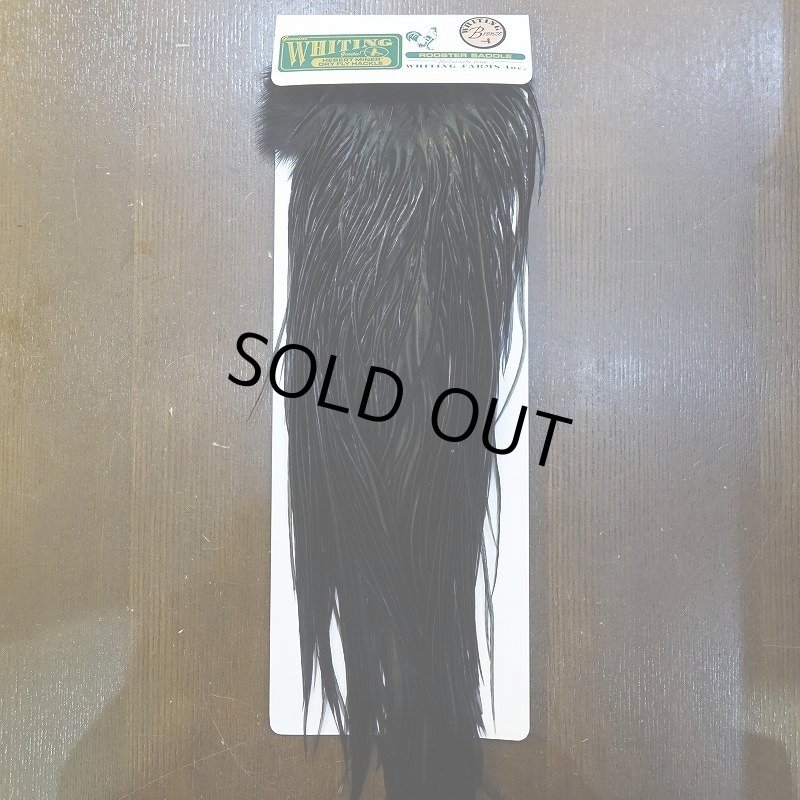 画像1: 【WHITING】Hebert Bronze Grade Saddle - Dyed Black No.1 #14 (1)