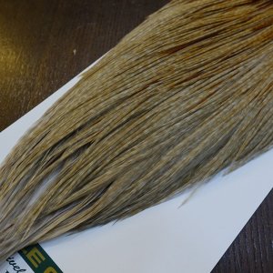 画像5: 【WHITING】Hebert ROOSTER CAPE Bronze Grade - Unique variant No.2