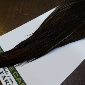 画像5: 【WHITING】Hebert ROOSTER CAPE Bronze Grade - DARK BROWN DUN No.1