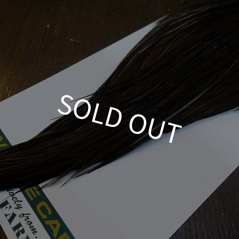 画像5: 【WHITING】Hebert ROOSTER CAPE Bronze Grade - DARK BROWN DUN No.1 (5)