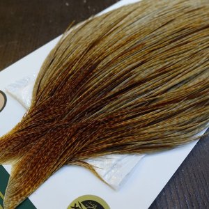 画像3: 【WHITING】Hebert ROOSTER CAPE Bronze Grade - Unique variant No.2