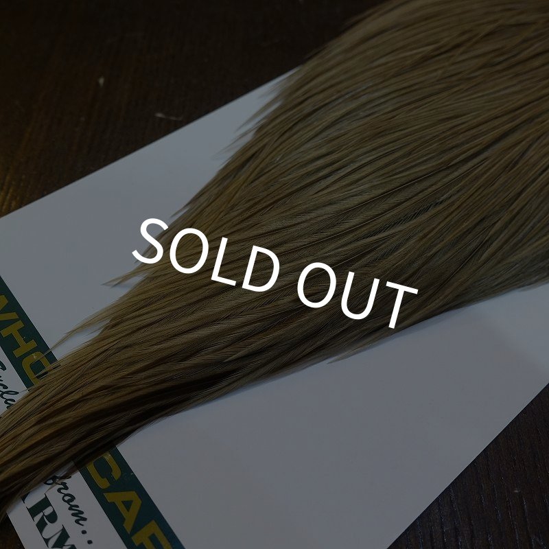 画像5: 【WHITING】Hebert ROOSTER CAPE Bronze Grade - MEDIUM BROWN DUN No.1 (5)