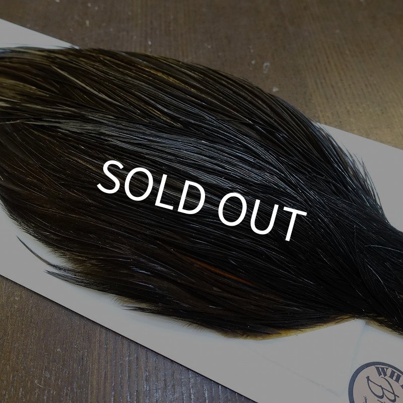 画像4: 【WHITING】Hebert Bronze Grade Cape NA Black No.3 (4)