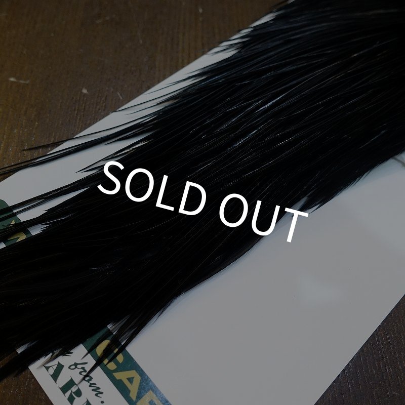 画像5: 【WHITING】Hebert Bronze Grade Cape DyedBlack No.1 (5)