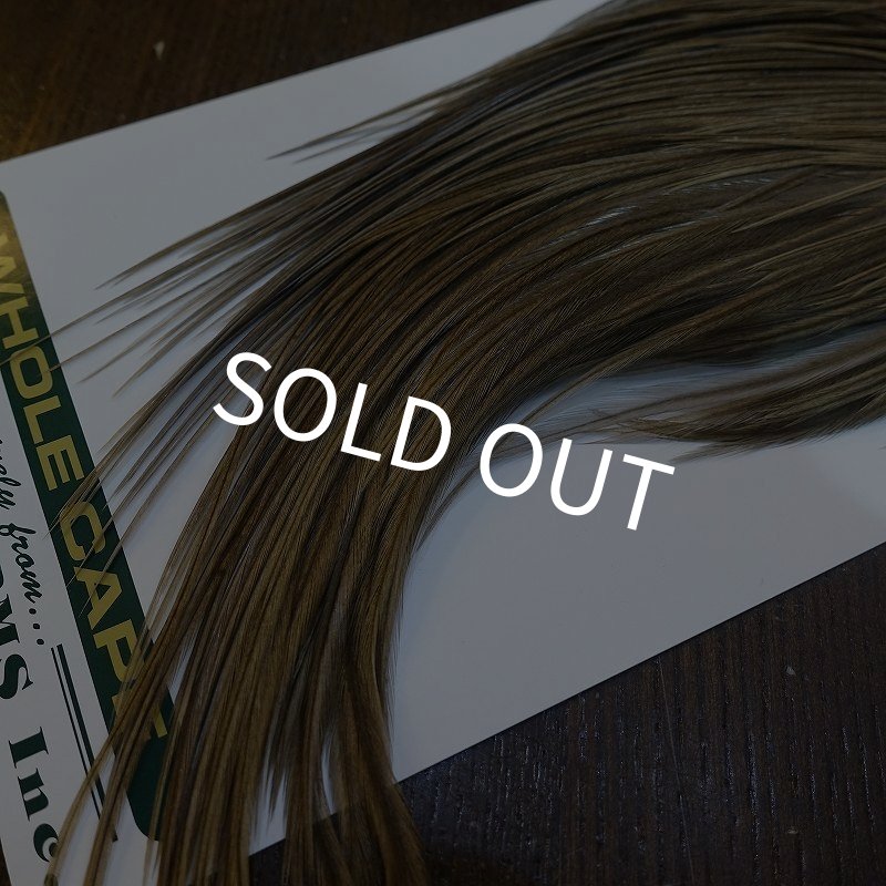 画像5: 【WHITING】Hebert ROOSTER CAPE Bronze Grade - BROWN GREY DUN No.1 (5)