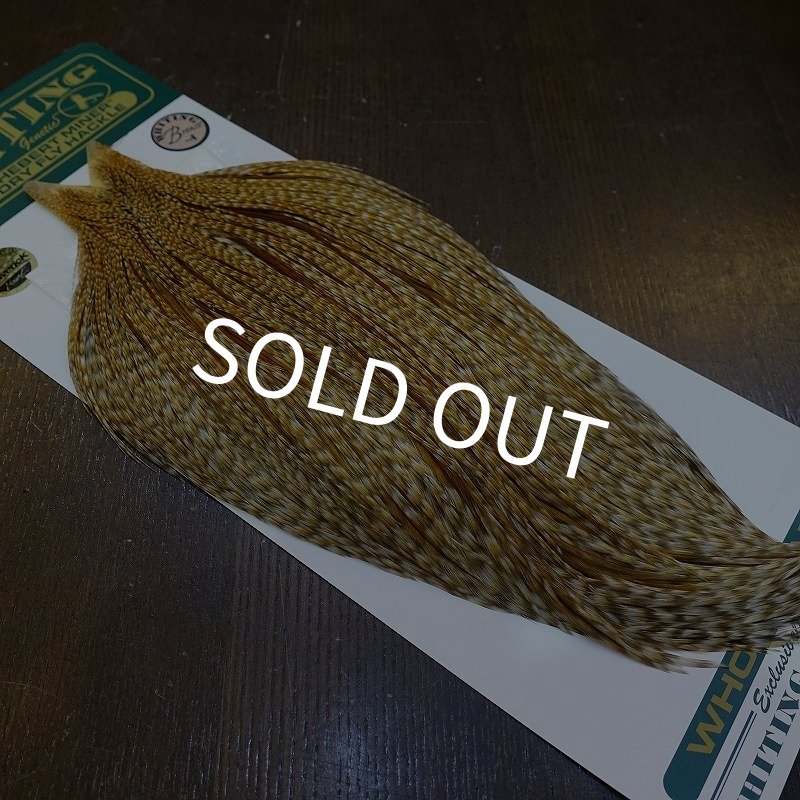 画像2: 【WHITING】Hebert ROOSTER CAPE Bronze Grade - BARRED MEDIUM GINGER No.1 (2)