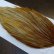 画像4: 【WHITING】Hebert ROOSTER CAPE Bronze Grade - Honey Dun No.1 (4)