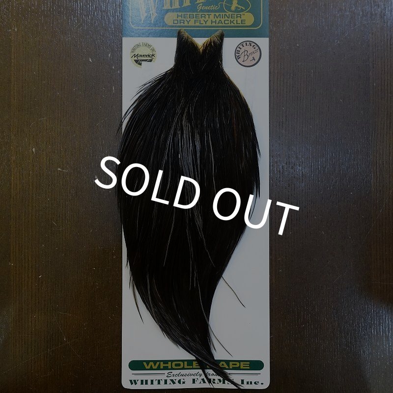 画像1: 【WHITING】Hebert Bronze Grade Cape NA Black No.3 (1)