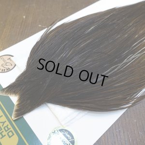 画像3: 【WHITING】Hebert ROOSTER CAPE Bronze Grade - DARK BROWN DUN No.1