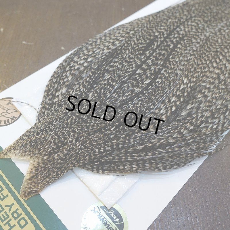 画像3: 【WHITING】Hebert ROOSTER CAPE Bronze Grade - Grizzly variant No.4 (3)