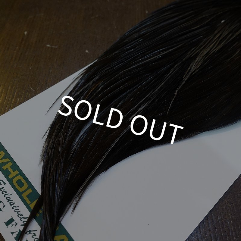 画像5: 【WHITING】Hebert Bronze Grade Cape NA Black No.3 (5)