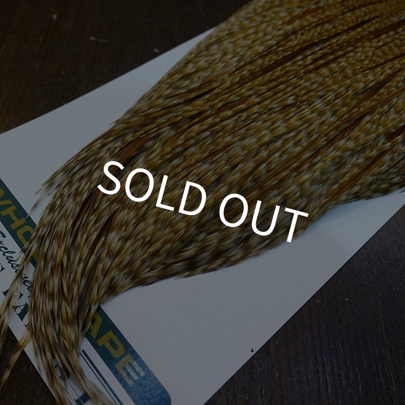 画像5: 【WHITING】Hebert ROOSTER CAPE Bronze Grade - BARRED MEDIUM GINGER No.1 (5)