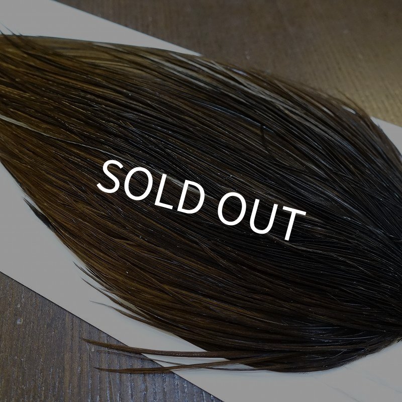 画像4: 【WHITING】Hebert ROOSTER CAPE Bronze Grade - DARK BROWN DUN No.1 (4)