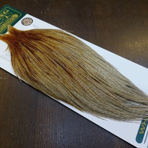 画像2: 【WHITING】Hebert ROOSTER CAPE Bronze Grade - Unique variant No.2