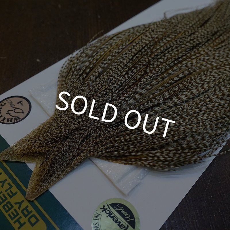 画像3: 【WHITING】Hebert ROOSTER CAPE Bronze Grade - DUN GRIZZLY No.1 (3)