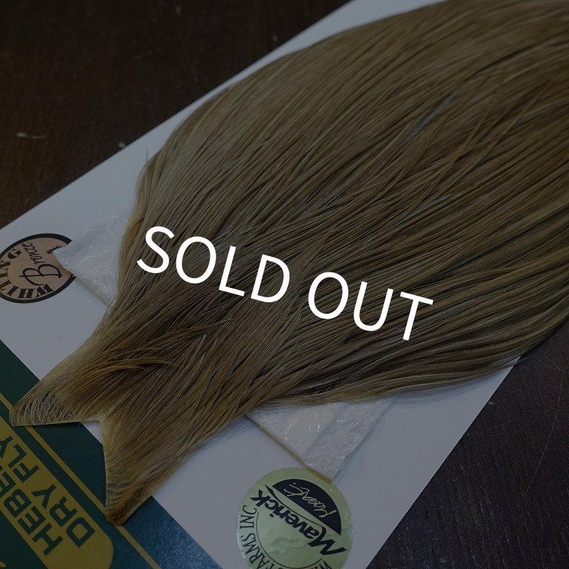 画像3: 【WHITING】Hebert ROOSTER CAPE Bronze Grade - MEDIUM BROWN DUN No.1 (3)