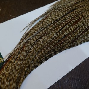 画像5: 【WHITING】Hebert ROOSTER CAPE Bronze Grade - DUN GRIZZLY No.3