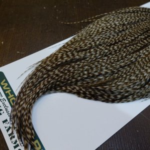 画像5: 【WHITING】Hebert ROOSTER CAPE Bronze Grade - DUN GRIZZLY No.2