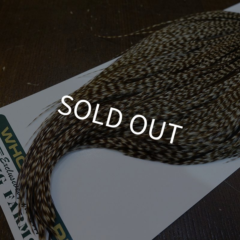 画像5: 【WHITING】Hebert ROOSTER CAPE Bronze Grade - DUN GRIZZLY No.2 (5)